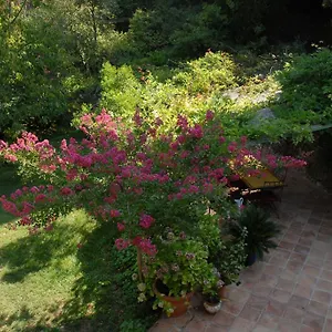 Bed & Breakfast D'hotes Il Monticello, Grasse